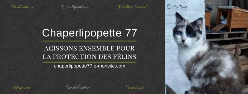 image de l'association