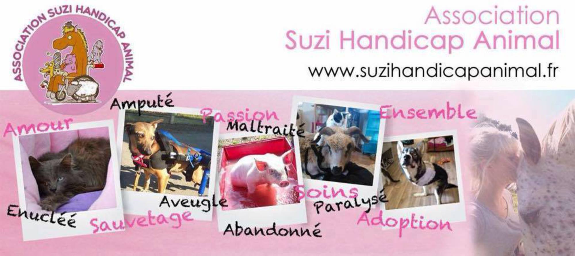 Suzi Handicap