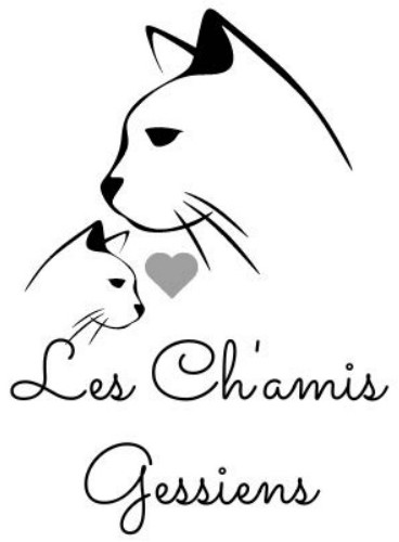 image de l'association