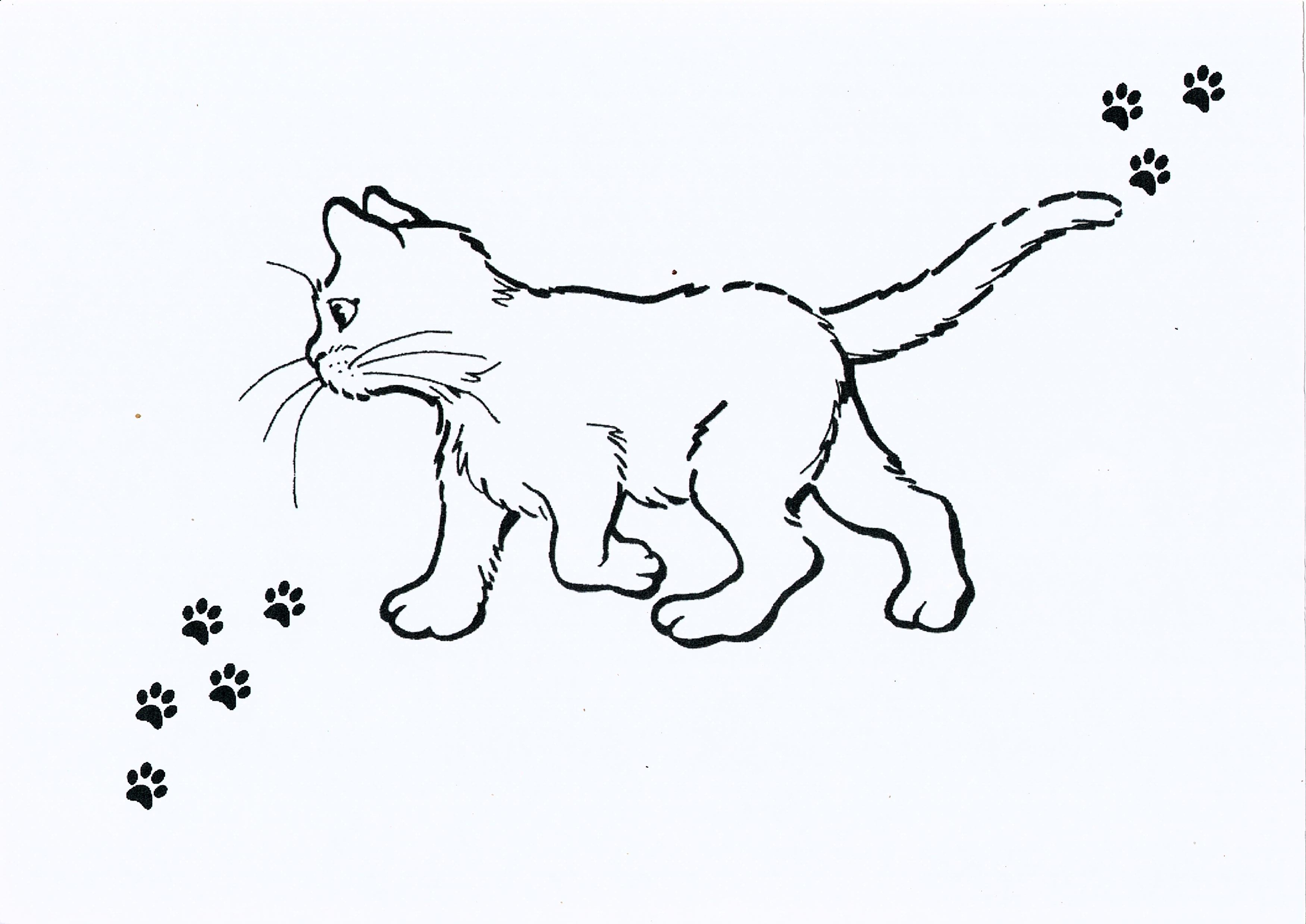 L'ANGE LAURENCE POUR LES CHATS