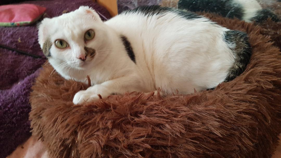 image de l'association