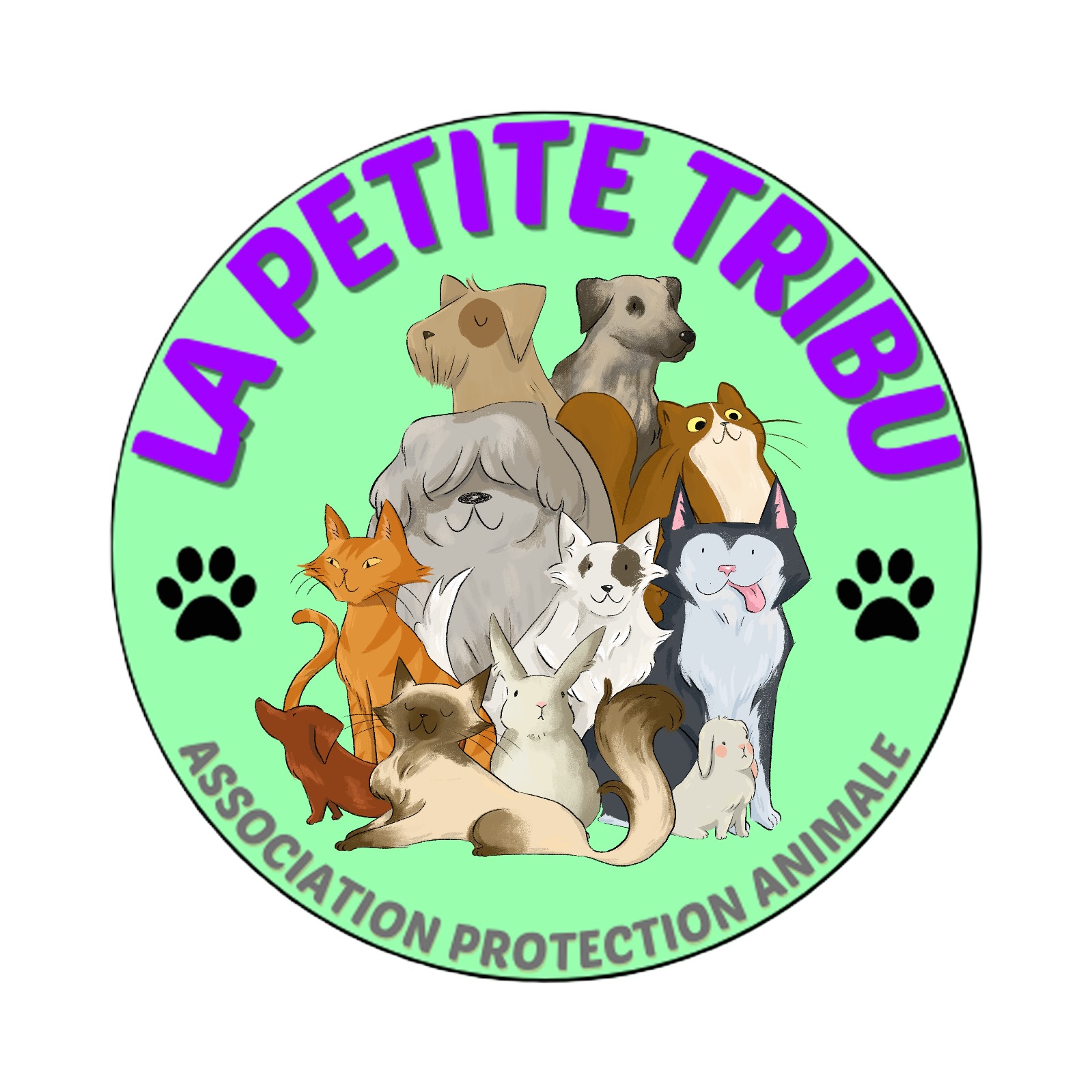 ASSOCIATION LA PETITE TRIBU