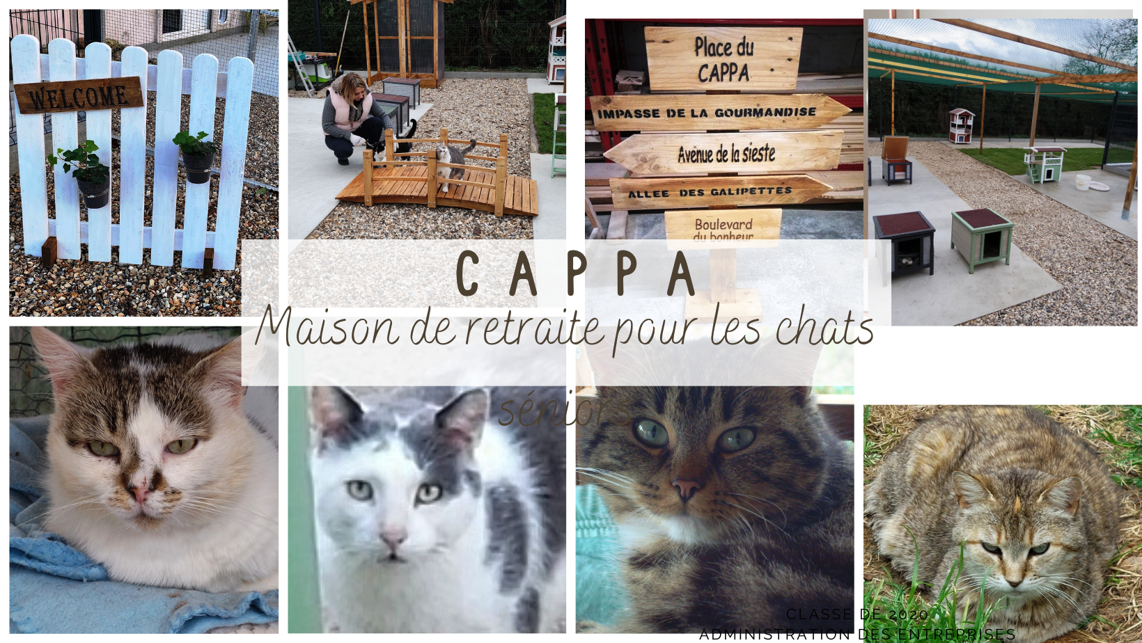 image de l'association