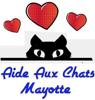 ASSOCIATION AIDE AUX CHATS MAYOTTE