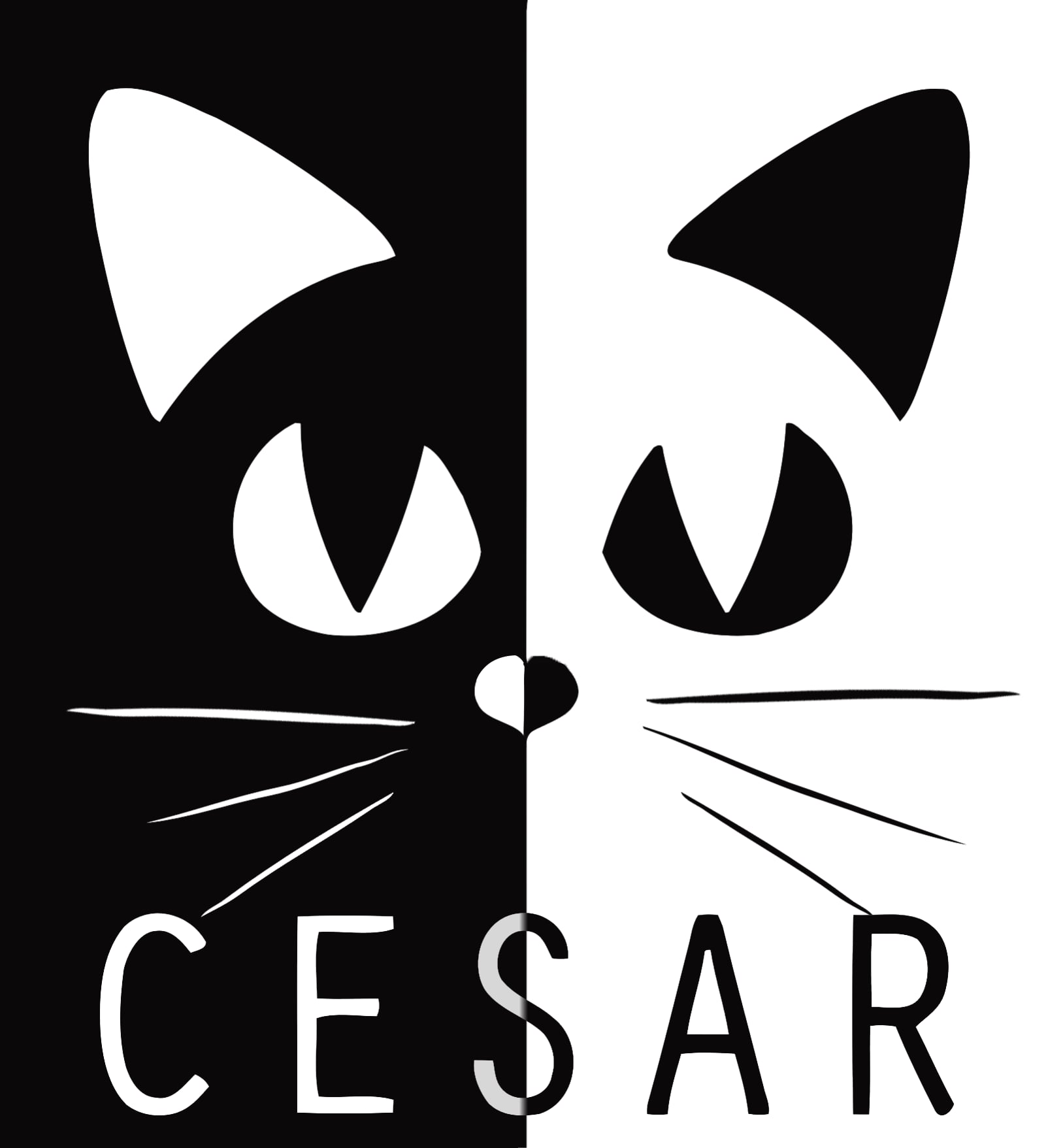 image de l'association