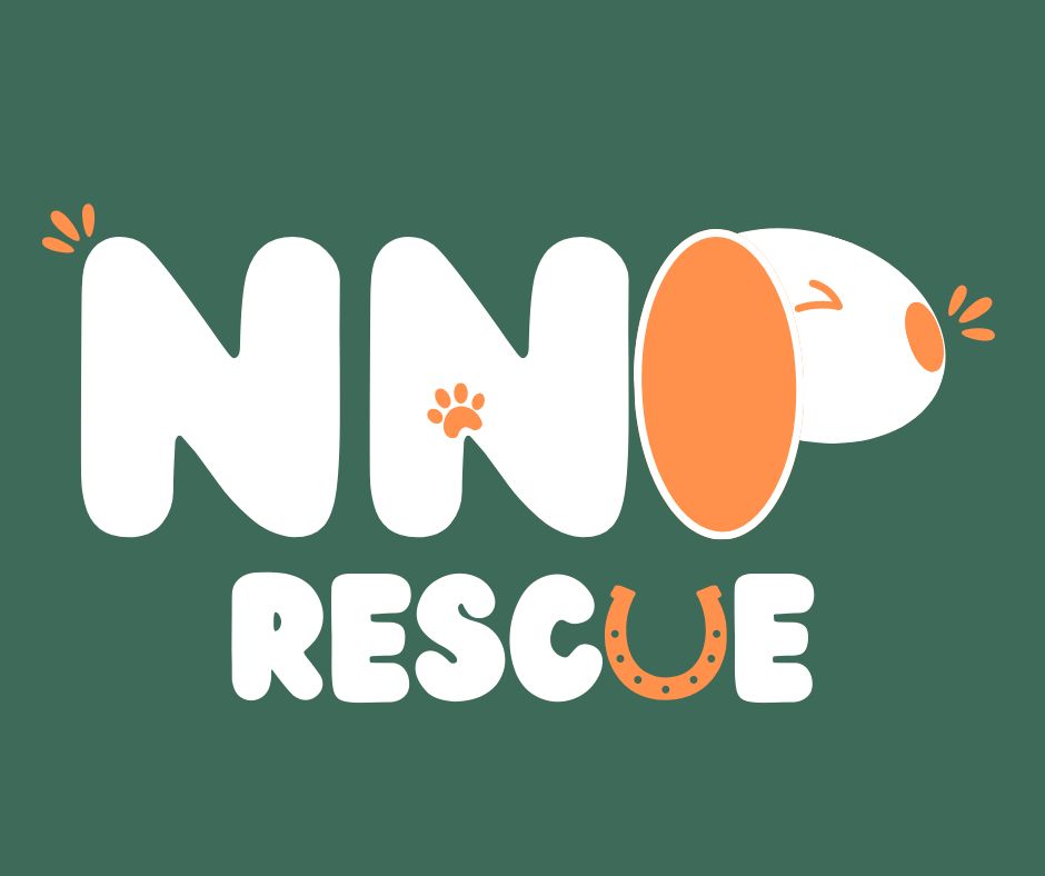 NNP RESCUE