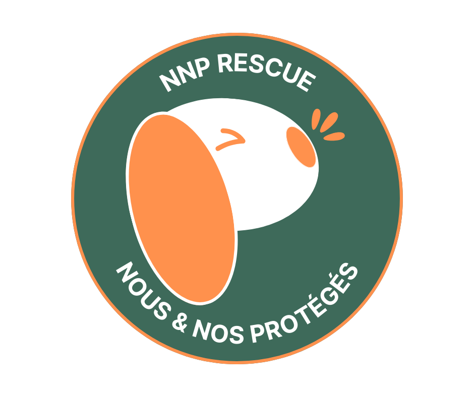 image de l'association