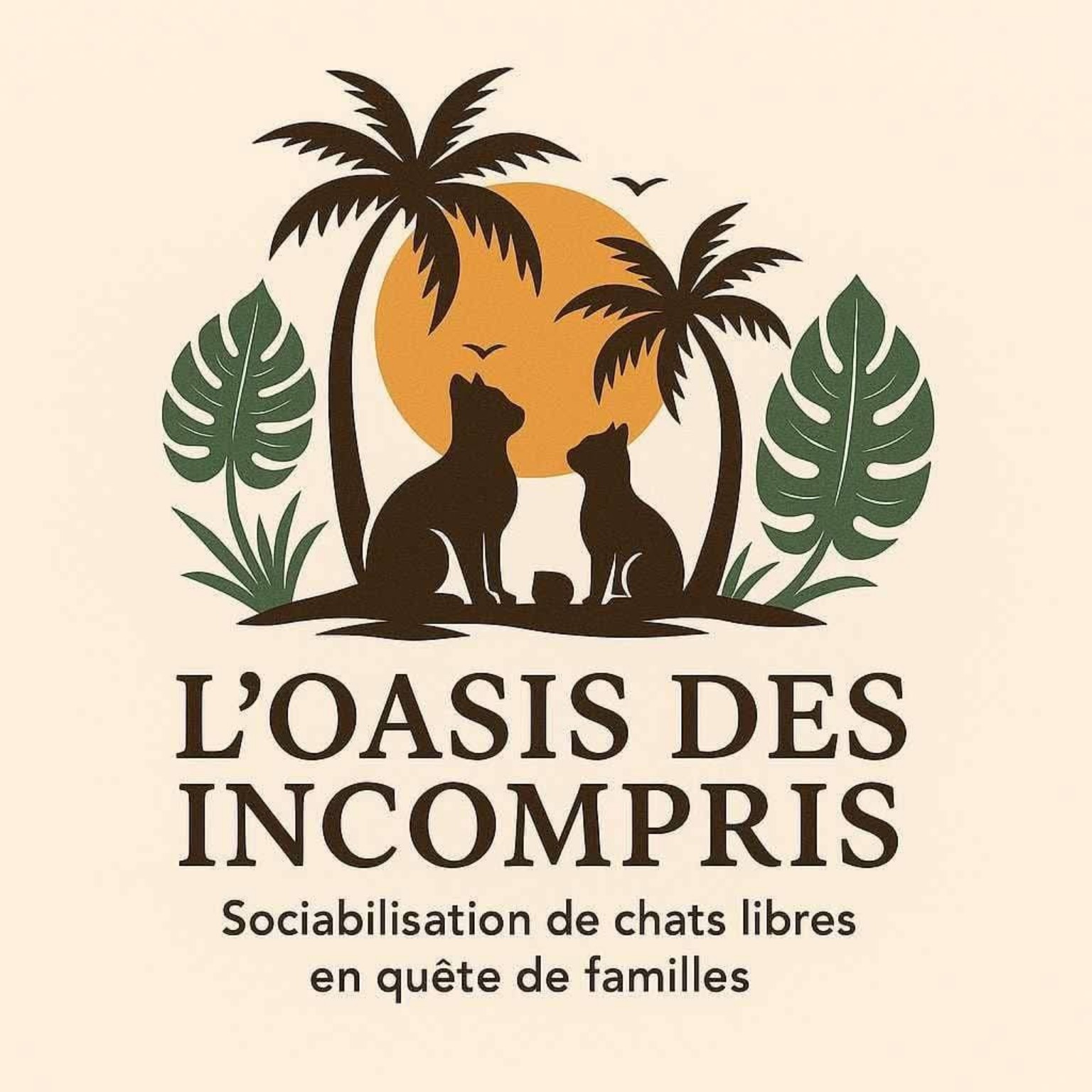 L'OASIS DES INCOMPRIS