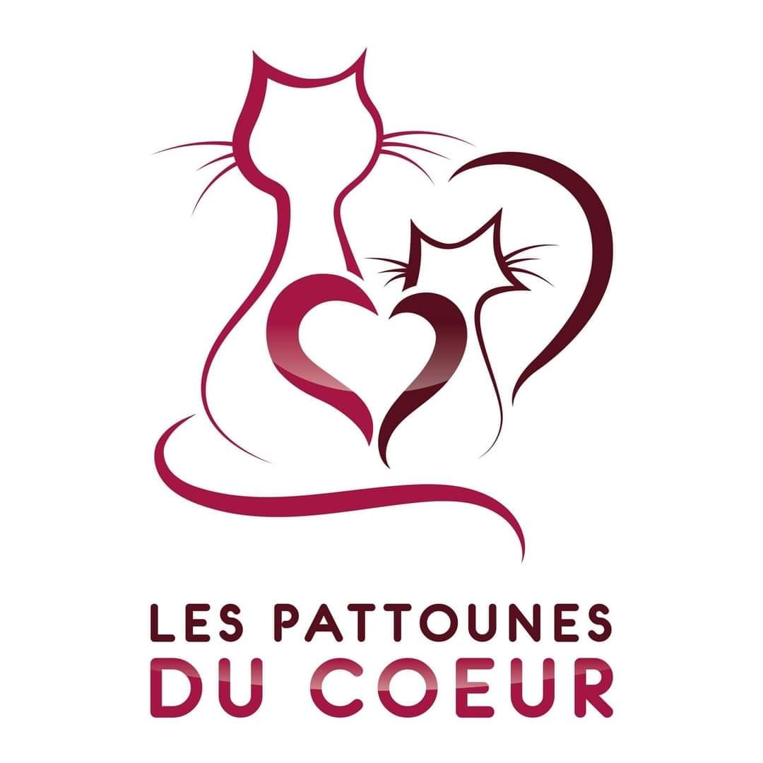 LES PATTOUNES DU COEUR