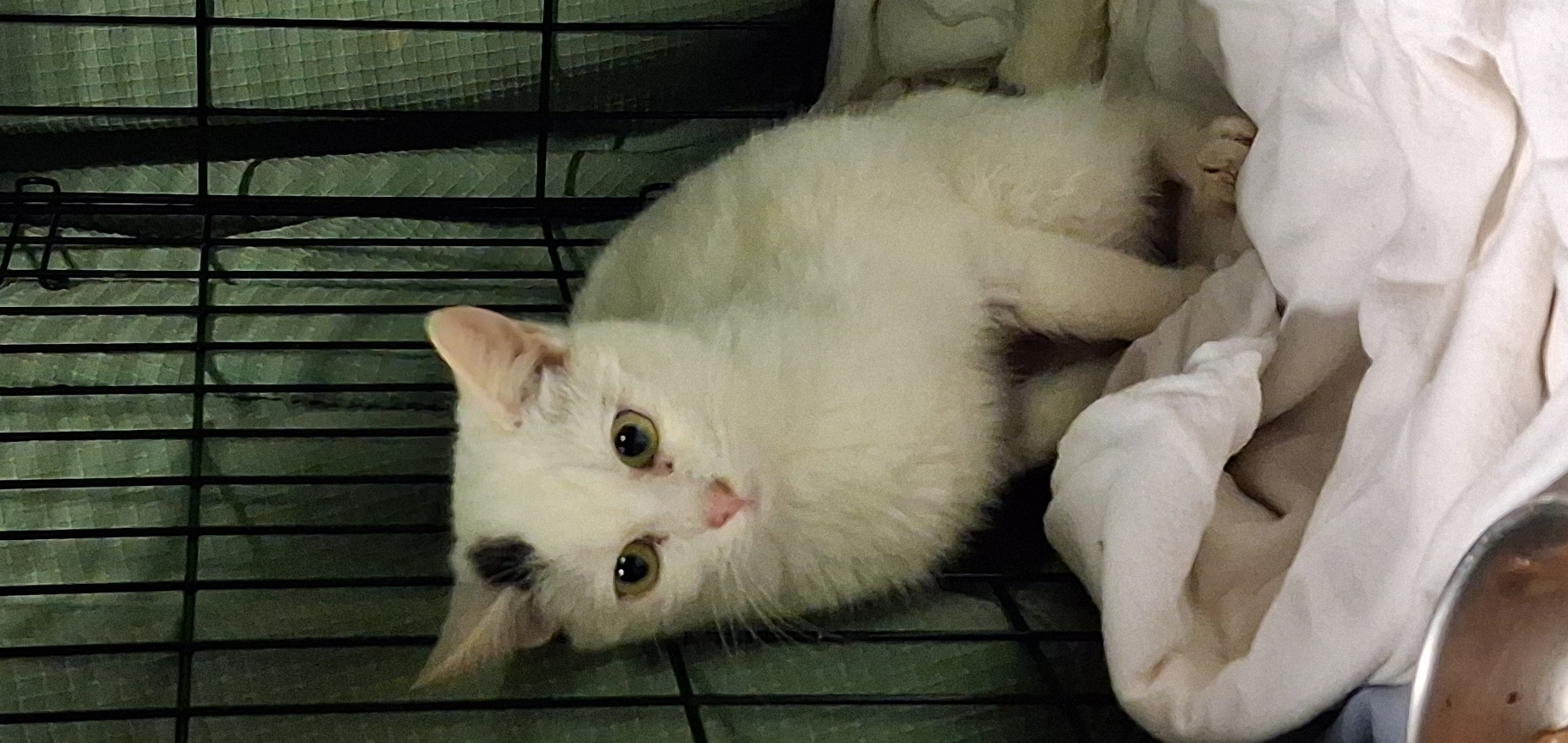 image de l'association