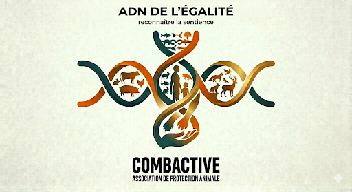 COMBACTIVE