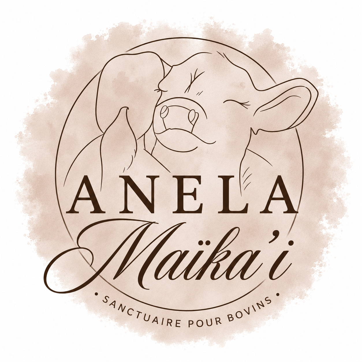 Logo Anela Maïka’i