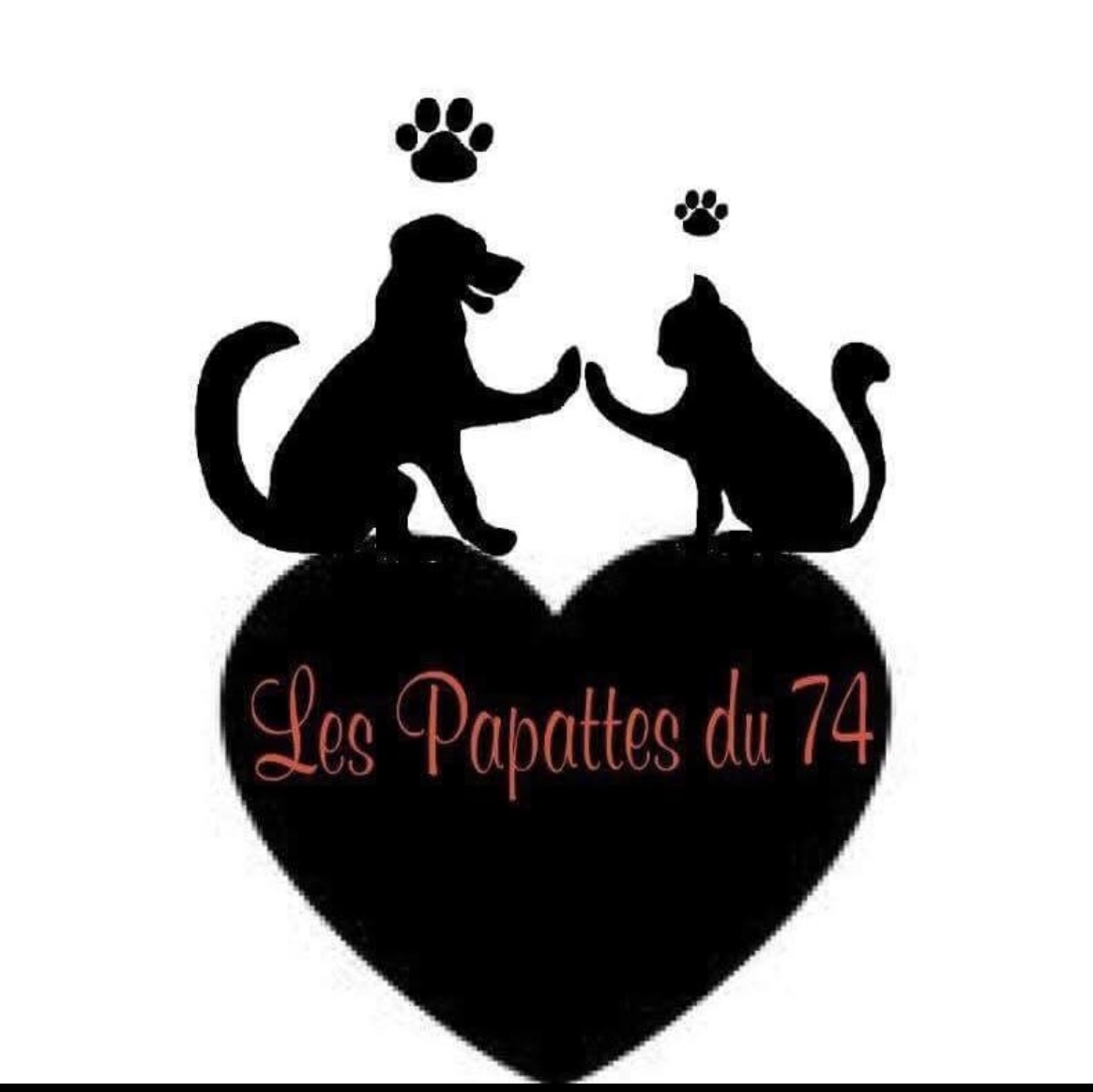 Logo Les Papattes du 74