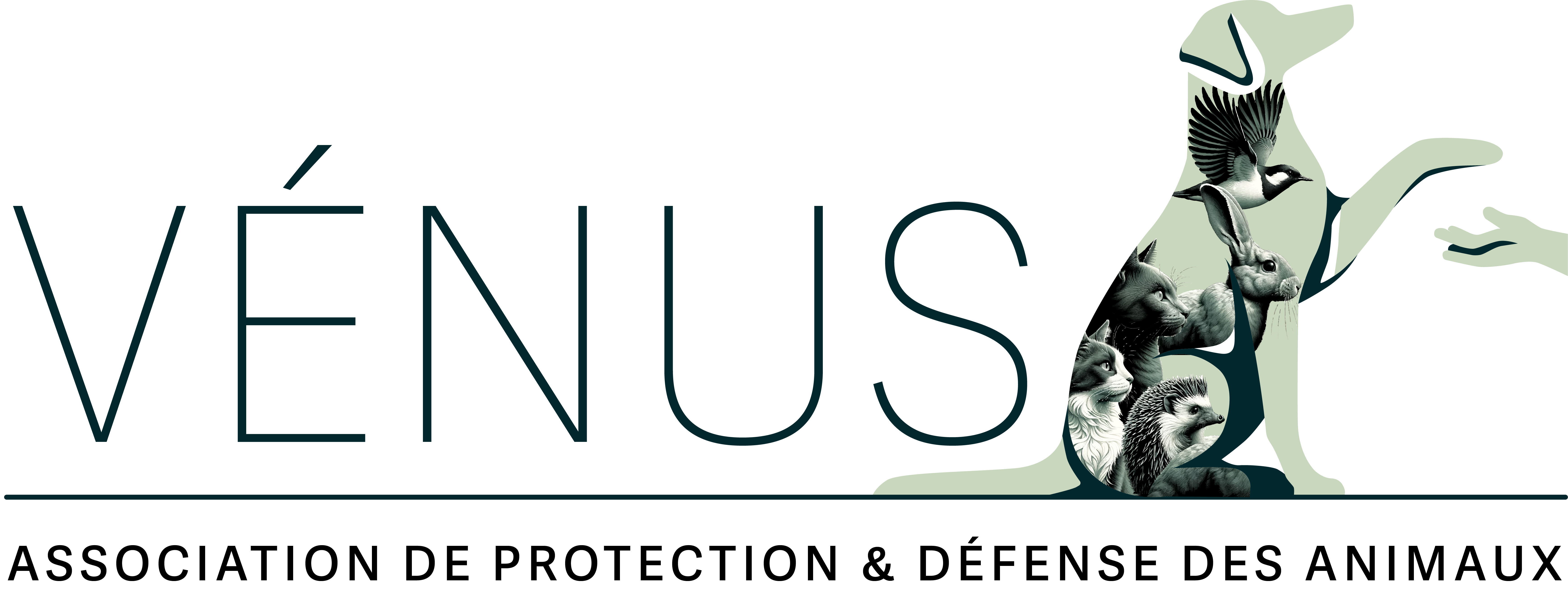 Logo ASSOCIATION VÉNUS