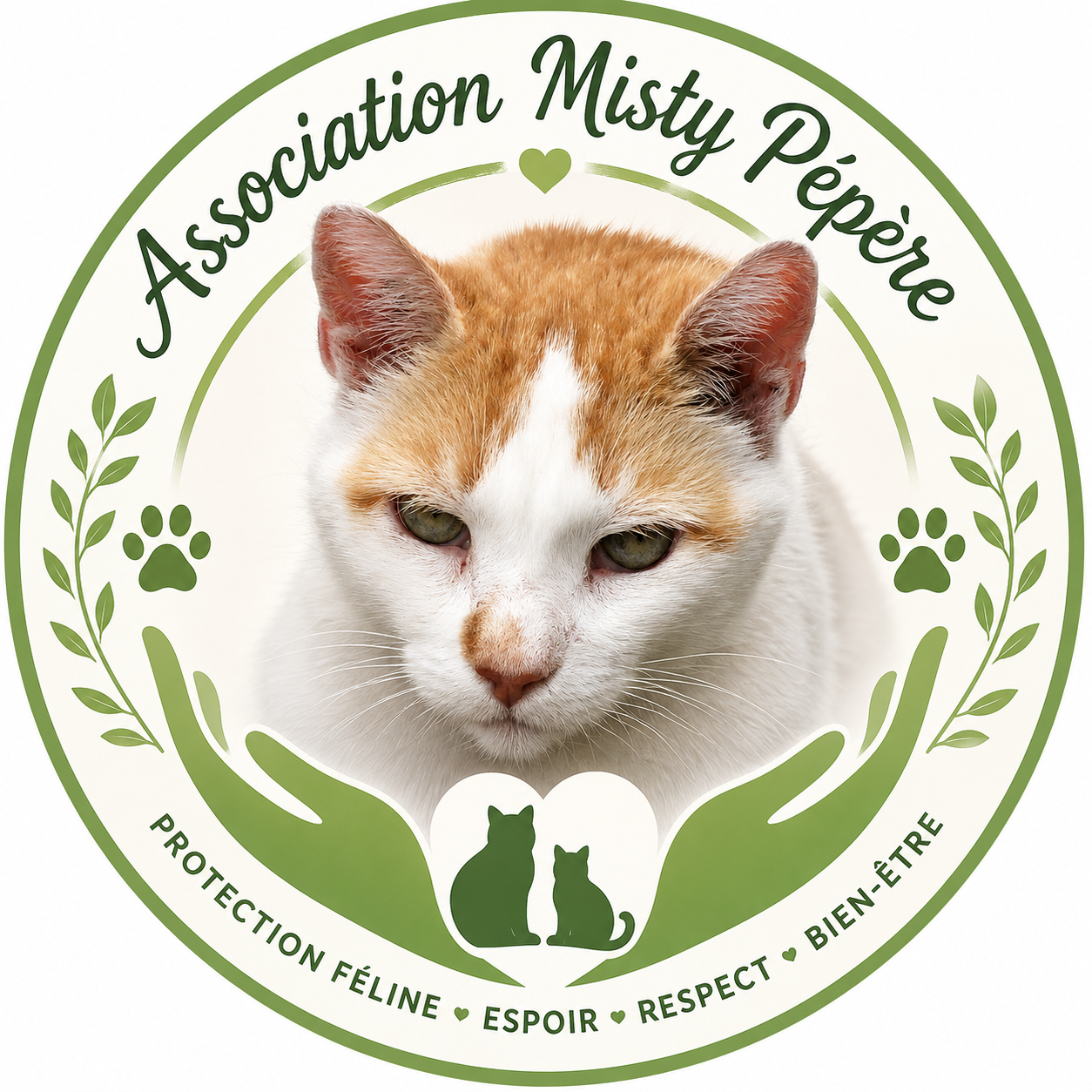 MISTY PEPERE