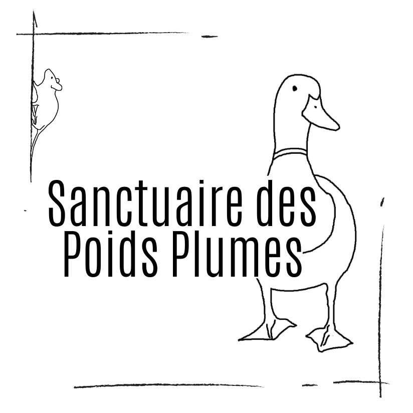 Logo Sanctuaire des Poids Plumes