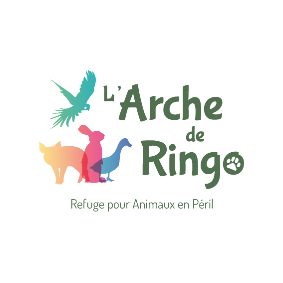 Logo L'Arche de Ringo