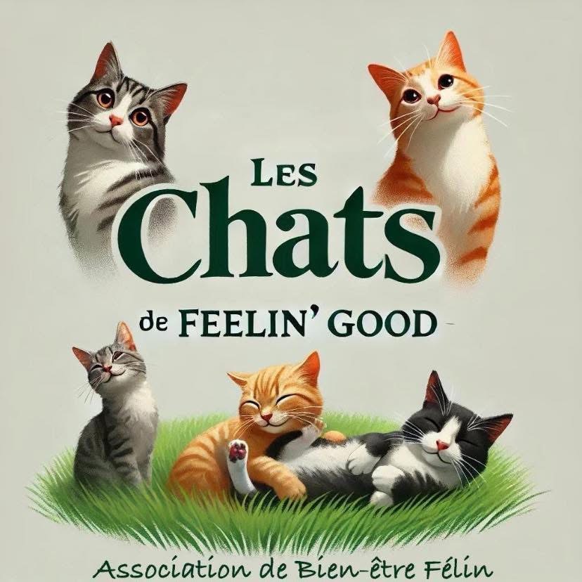 Logo Les chats de Feelin’ Good