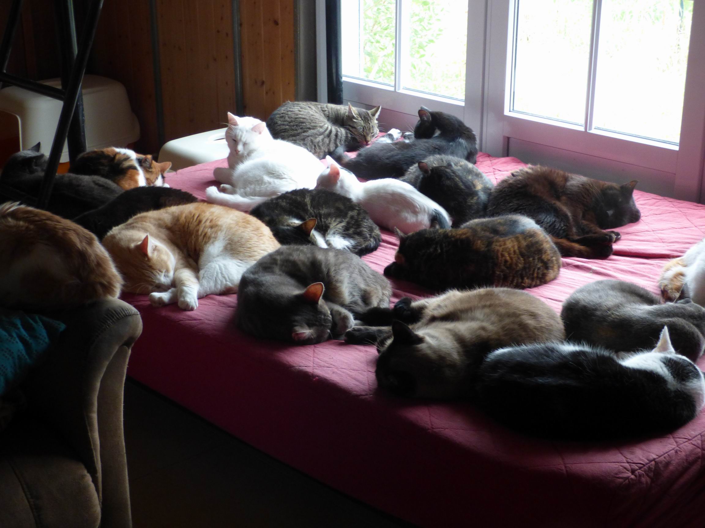 image de l'association