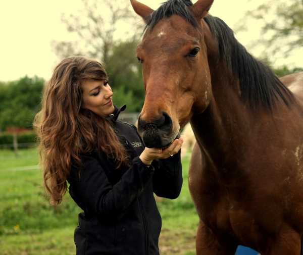 image de l'association