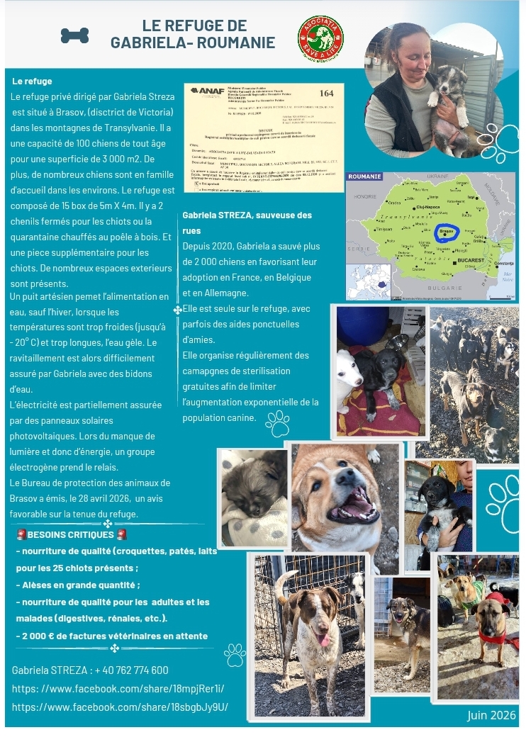 URGENCE REFUGE GABRIELA : 115 CHIENS DONT 25 CHIOTS À NOURRIR ET 2 000 € DE DETTES VÉTÉRINAIRES. SANS VOUS, ILS N'ONT RIEN.