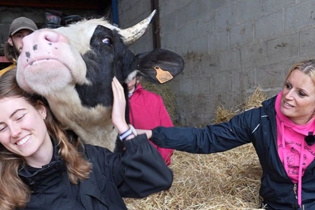 Petit Bouchon : le vrai scandale derrière l'euthanasie