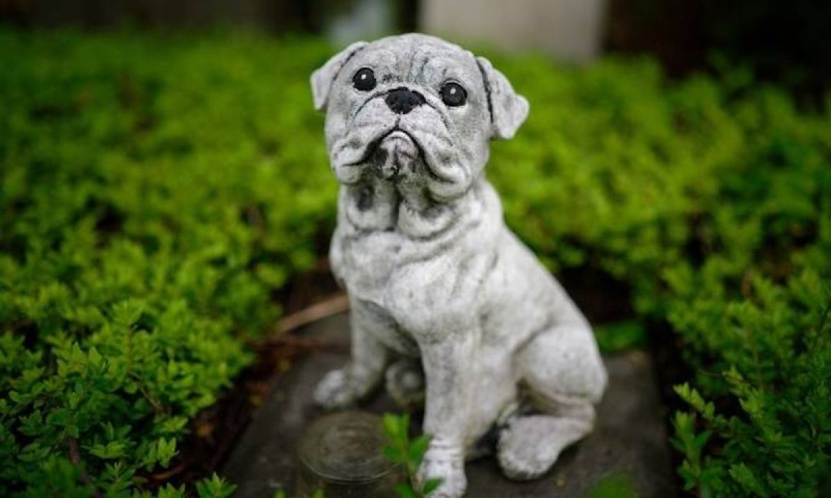 Le droit de reposer ensemble — une demande simple que la France refuse